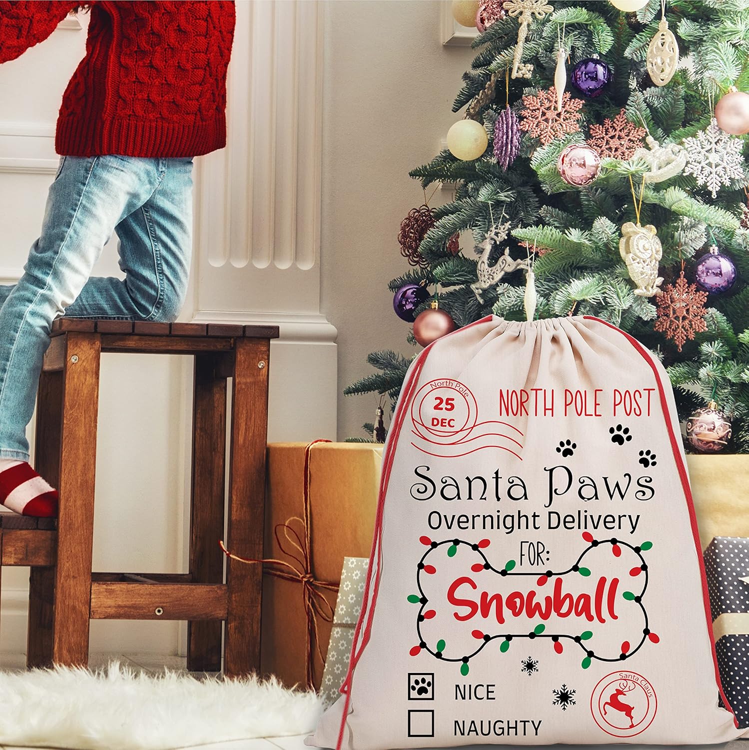 Brd Gifts Set of 2 Personalized Santa Sack w/Name 9 Design Options Custom Christmas Bag for Holiday Presents, 27 x 20 Canvas, Large Santa Gift Sack Santa Mail Service