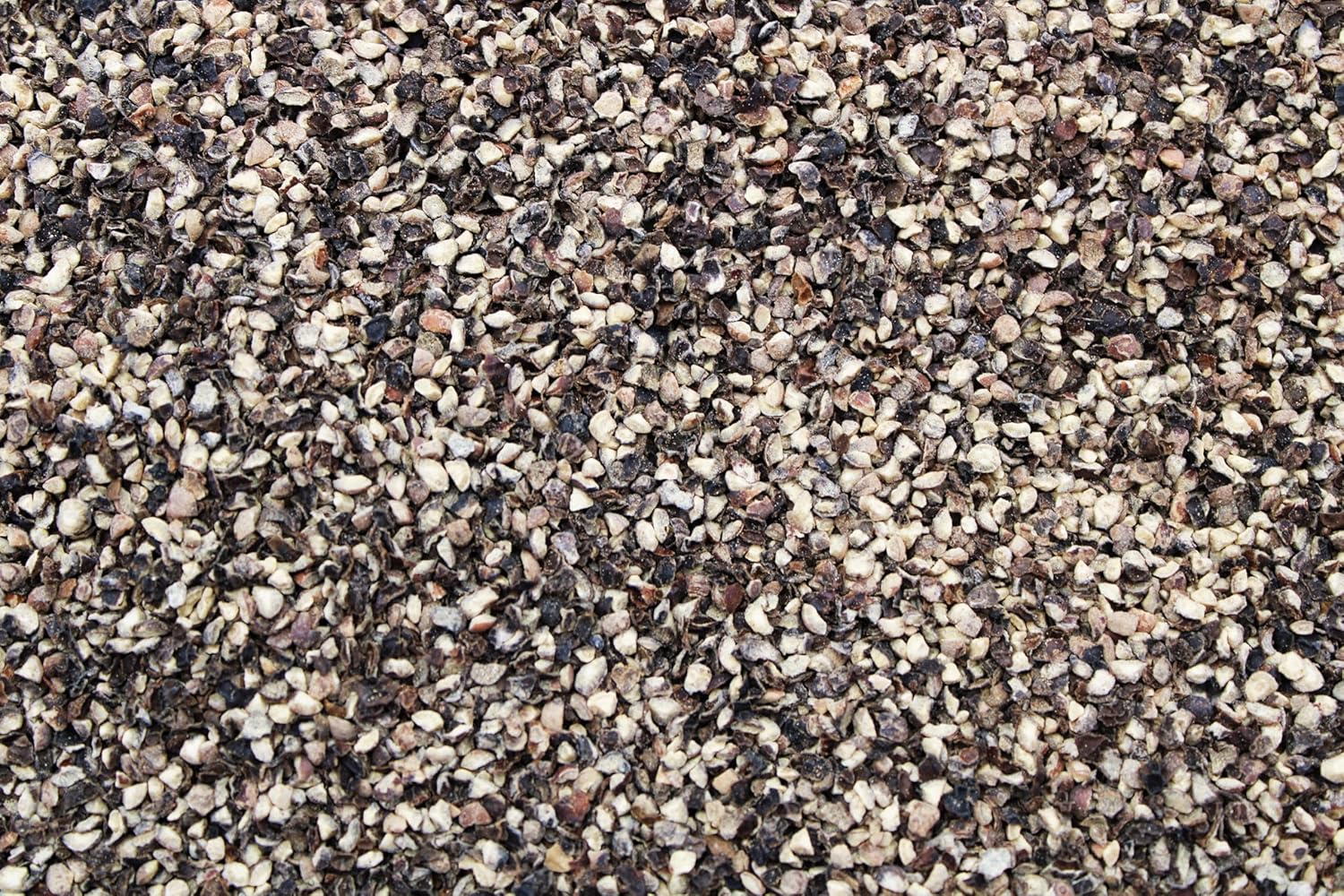 Black Pepper 10 MESH 2 Pounds Bulk Bag -Heat Sealed to Maintain Freshness-Spice Seasoning-10M VERY COARSE Perfect for Rubs