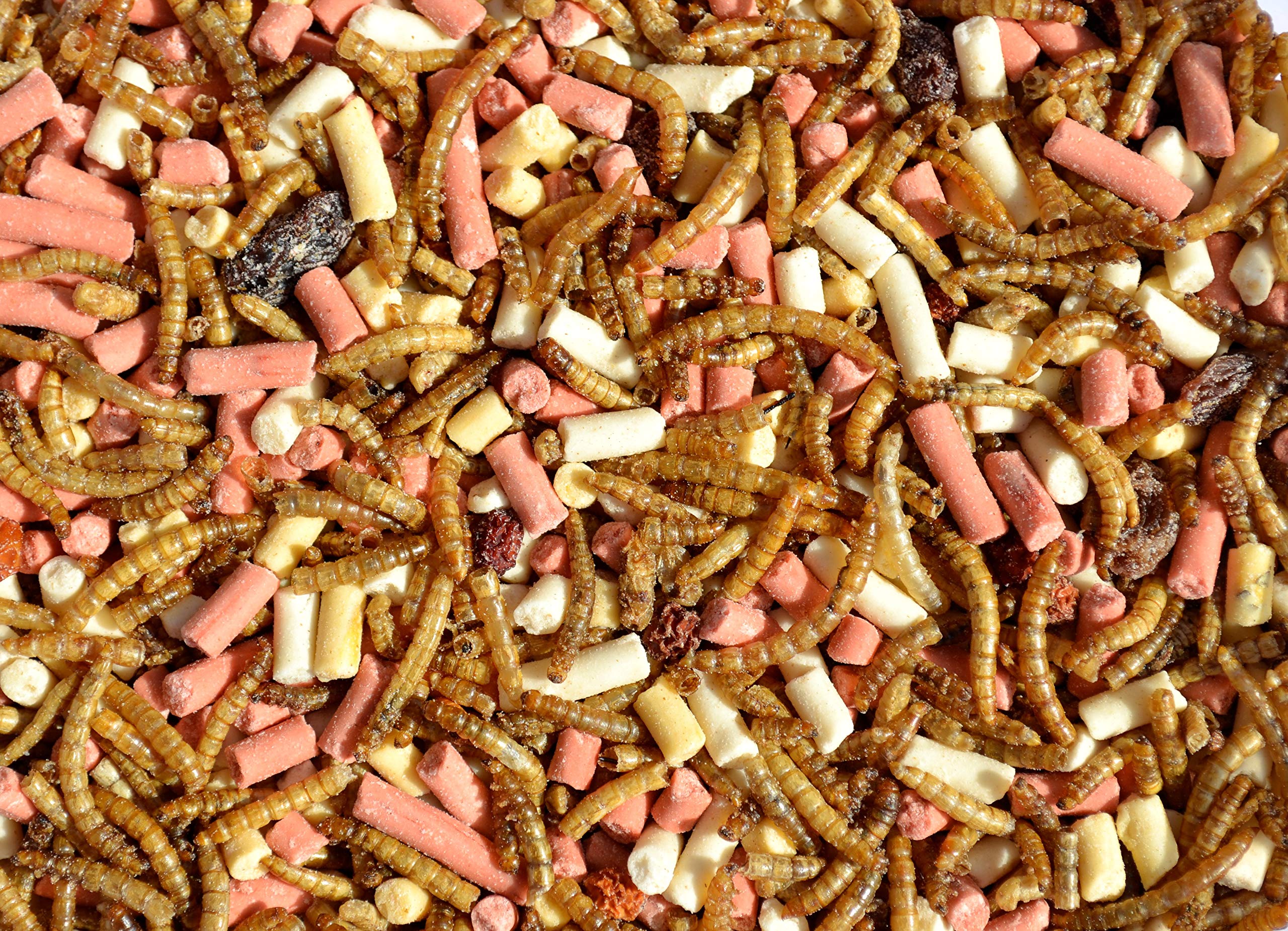 Supa Dried Mealworms, HiEnergy Suet Pellets & Fruit Platter Mix for