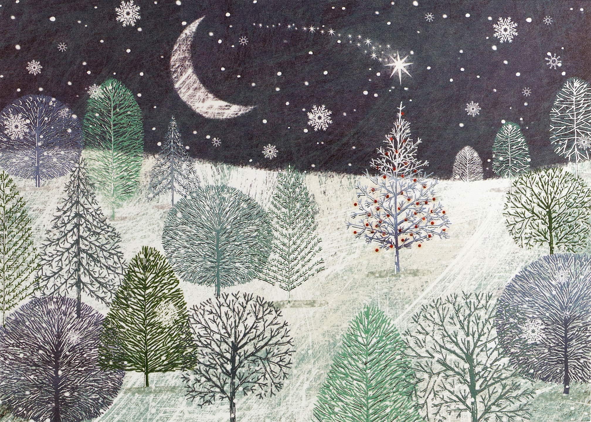 PETER PAUPER PRESS A Midnight Clear Deluxe Boxed Holiday Cards (20 cards and 21 self-sealing envelopes)