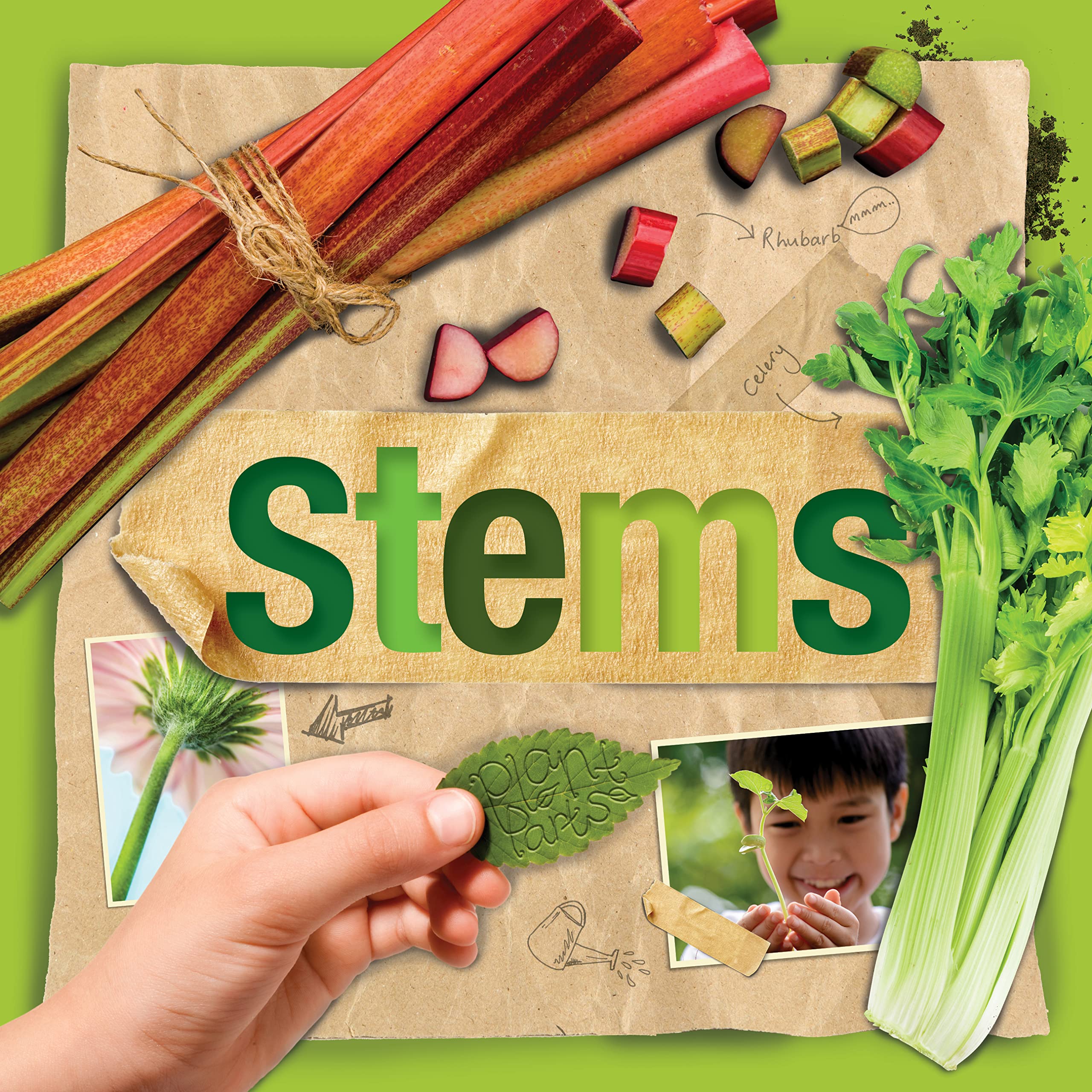 Stems by Steffi Cavell-Clarke, Danielle Webster-Jones - 9781801559300