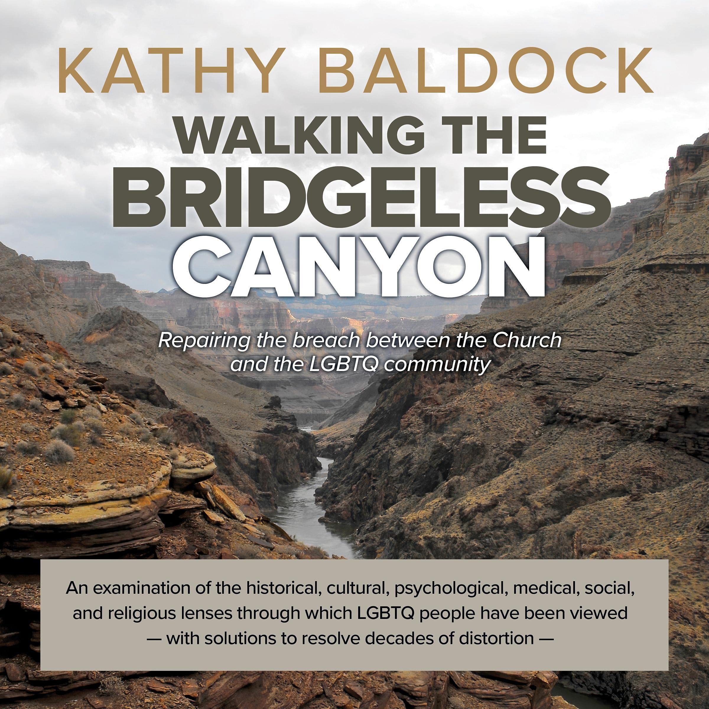 Cover art for Walking the Bridgeless Canyon