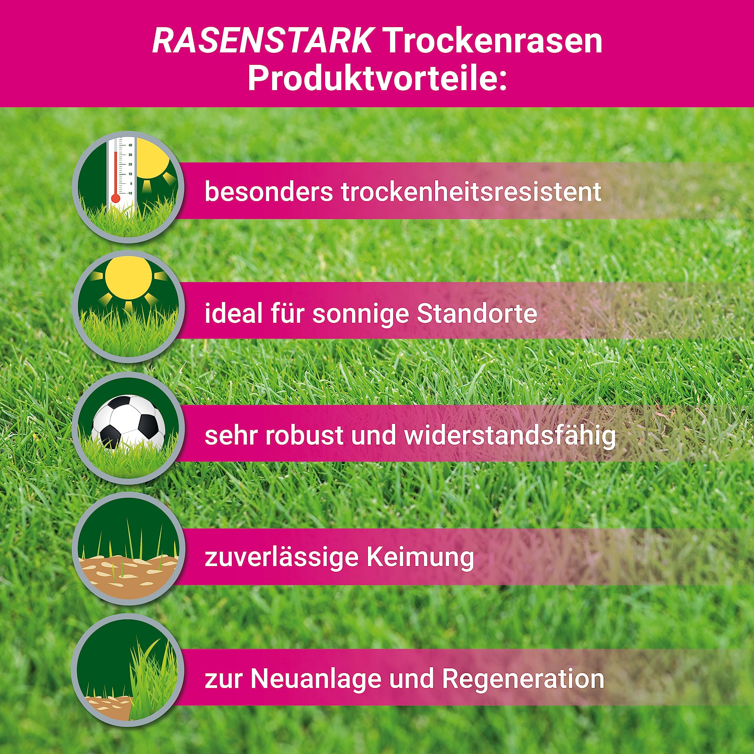 Trockenrasen schnellkeimende Rasensamen 10 kg für 250 m², ideal zur Nachsaat oder Neuanlage, dürreresistent + robuste Rasensaat, trockenresistente Grassamen Samen