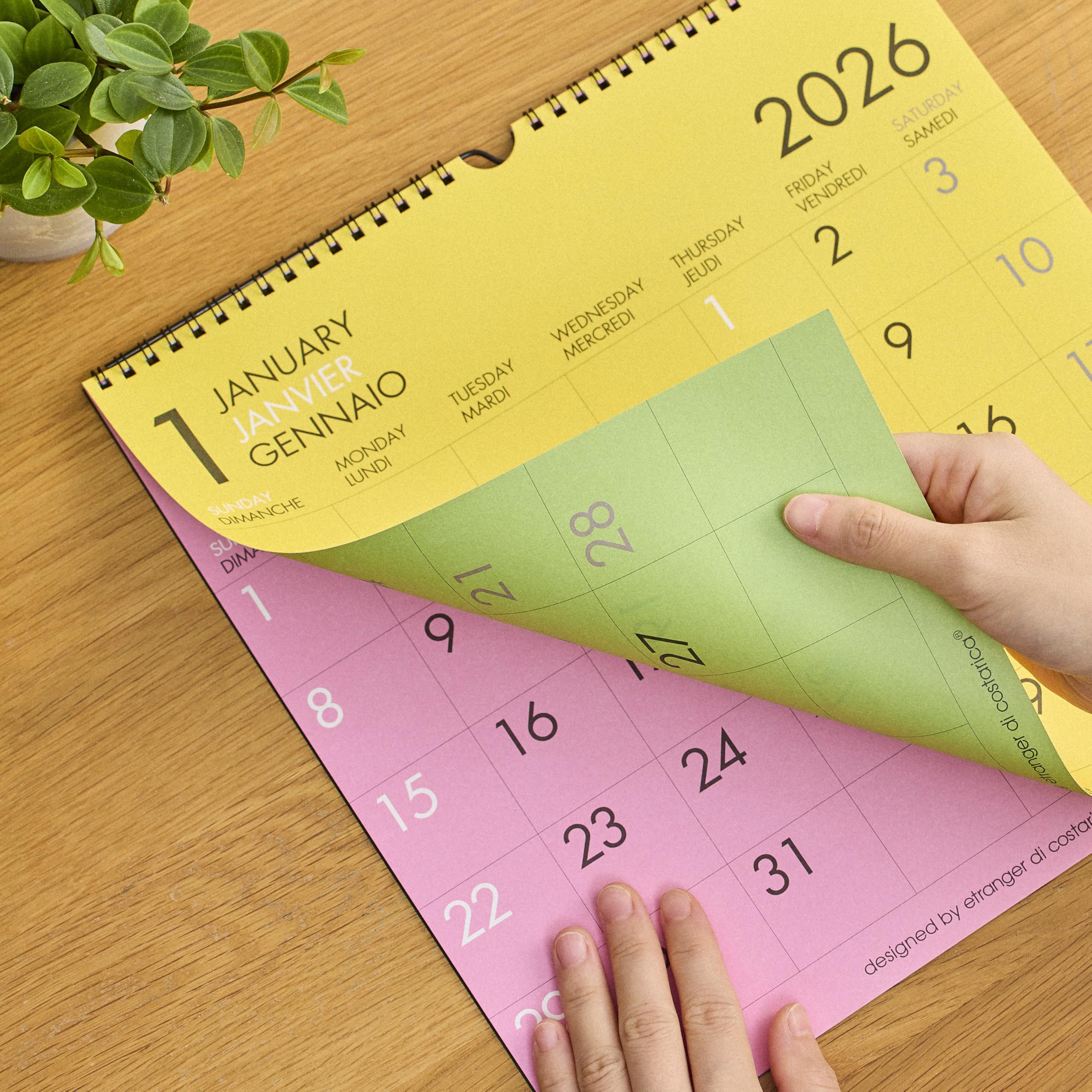 Amazon.co.jp: etranger di costarica 2026年 カレンダー 壁掛け LP