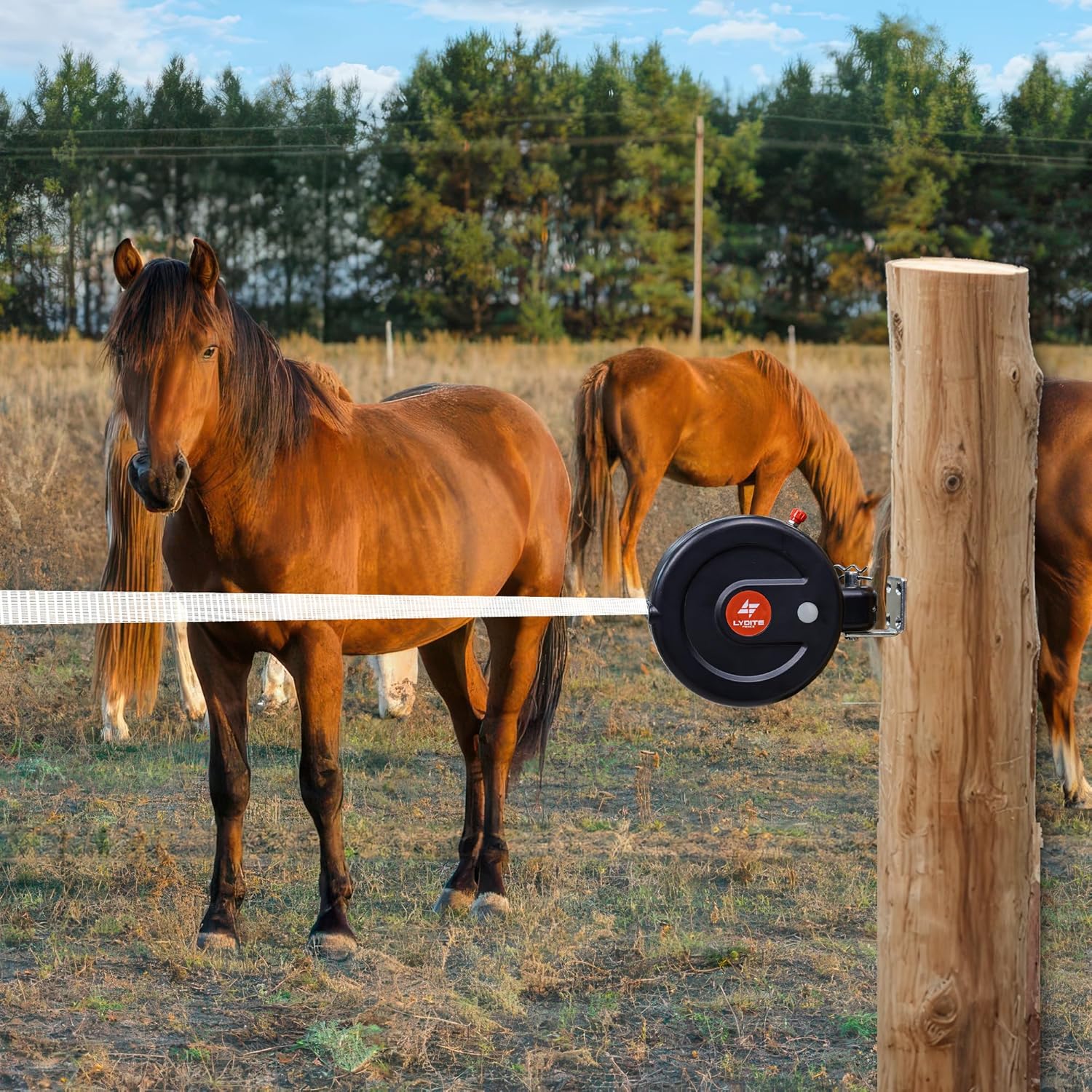 Electric Fence Gate Handle, Retractable Reusable Electric Fence Handle Built in 10m Electric Fence Poly Tapes, Gate Connector