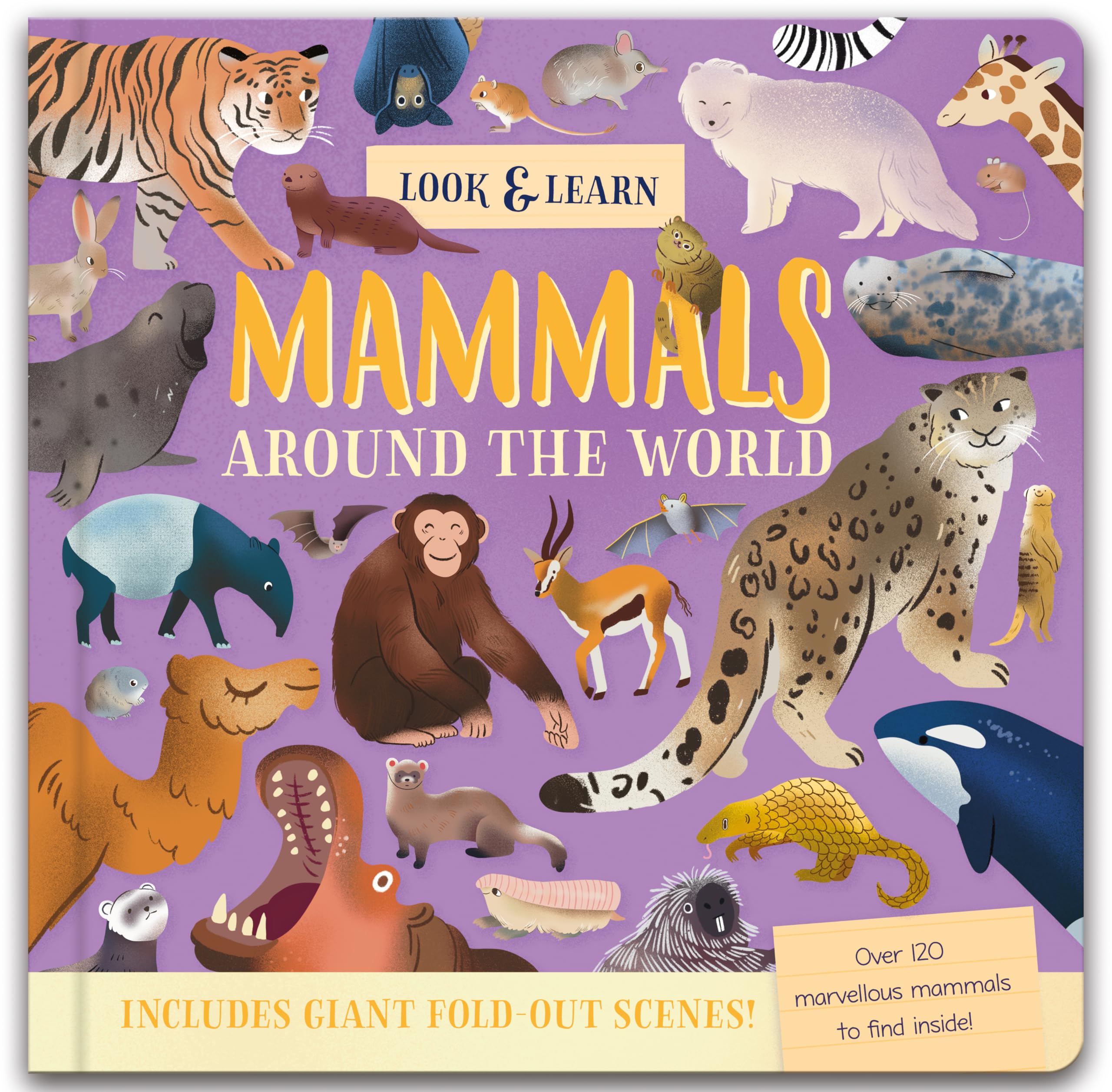 Look and Find Fold-Out Board Book - Mammals - Perfect for Children Aged 3 Years Upward (Nature Look & Find Board Books)