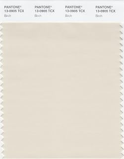 PANTONE Smart 13-0905X Color Swatch Card, Birch