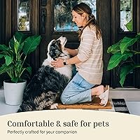 Vista 6 de THEODORE MAGNUS - Felpudo de fibra de coco natural con parte trasera antideslizante, 17 x 30 cm/6.7” x 11.8”, para exteriores/interiores