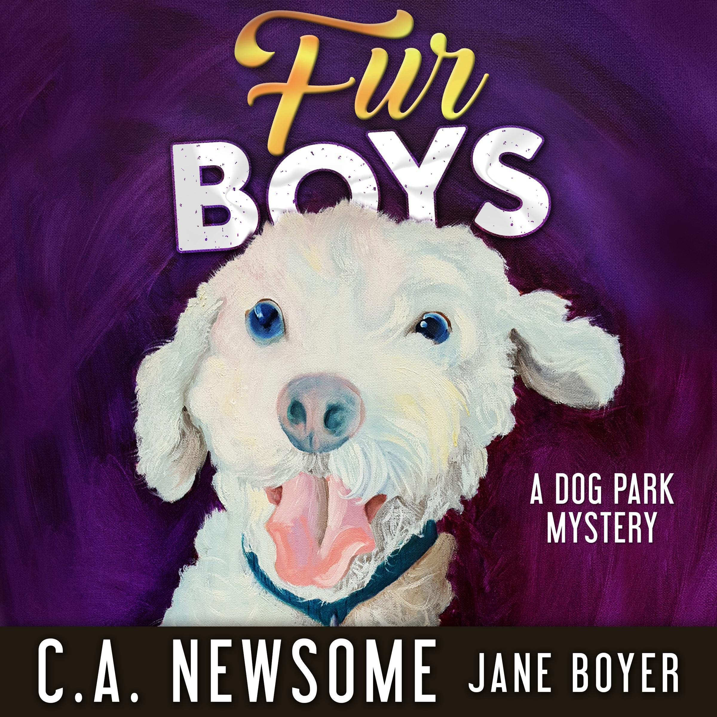 Fur Boys: A Dog Park Mystery
