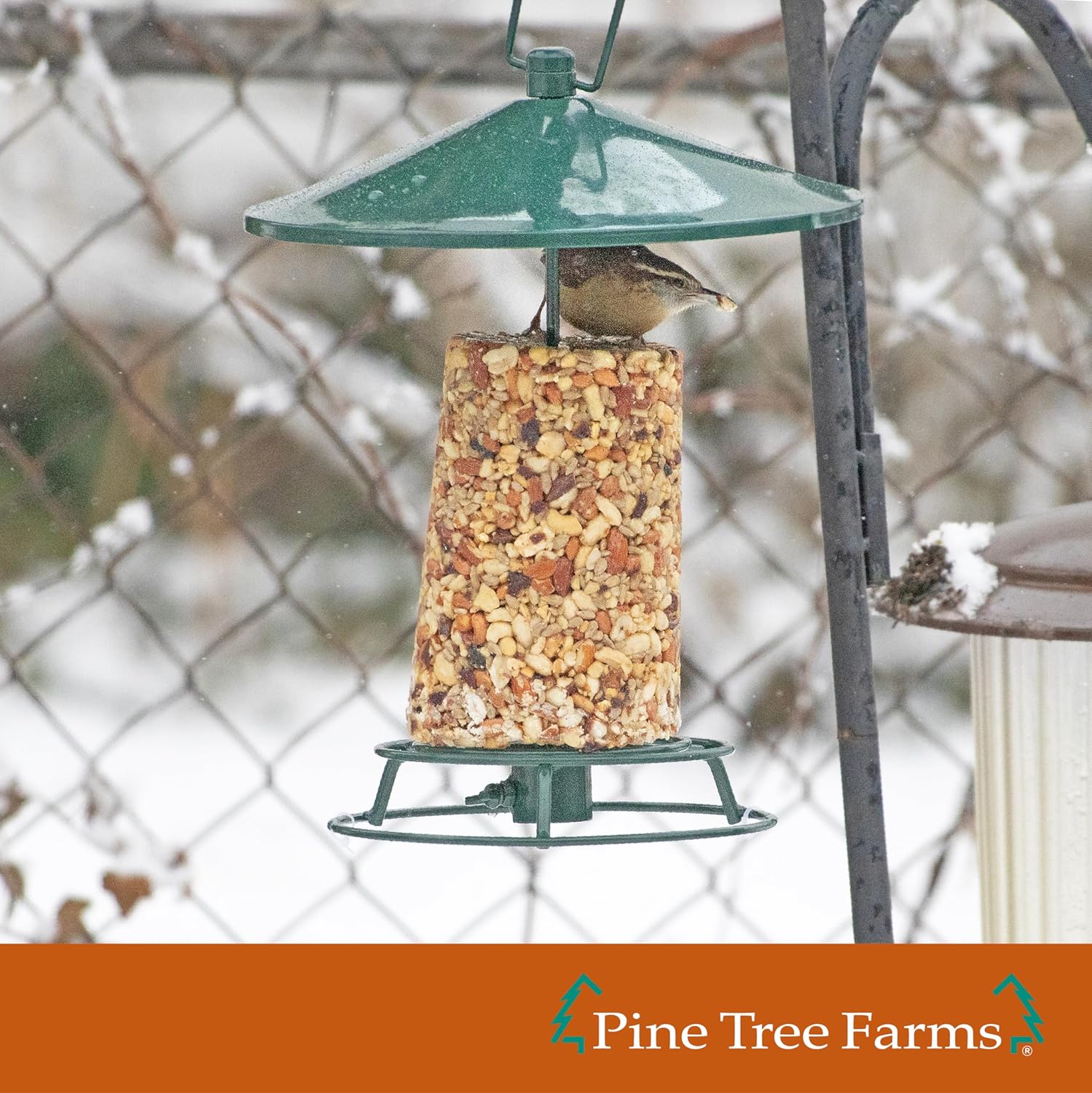 Pine Tree Farms Nutsie Classic Wild Bird Seed Log, Gourmet Bird Food with Almonds, Peanuts, Cashews, Sunflower Hearts, Cranberries and Raisins, 80 oz. (Pack of 6)