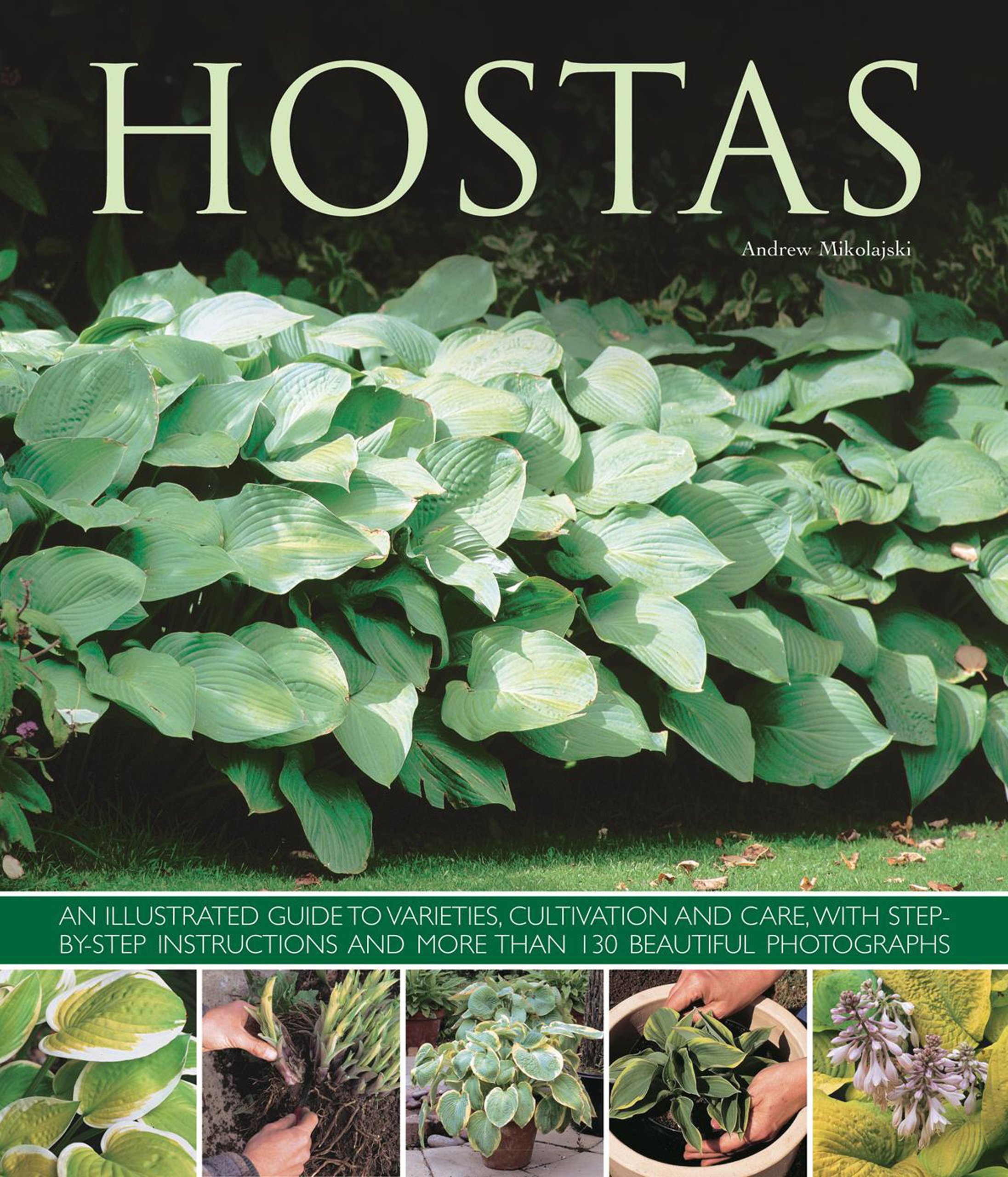 Hostas: An Illustrated Guide to Varieties, Cultivation and Care: an Illustrated Guide to Varieties, Cultivation and Care, with Step-by-step Instructions and More Than 130 Beautiful Photographs