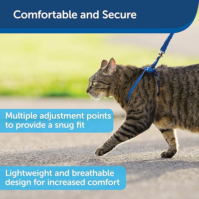 bungee cat leash