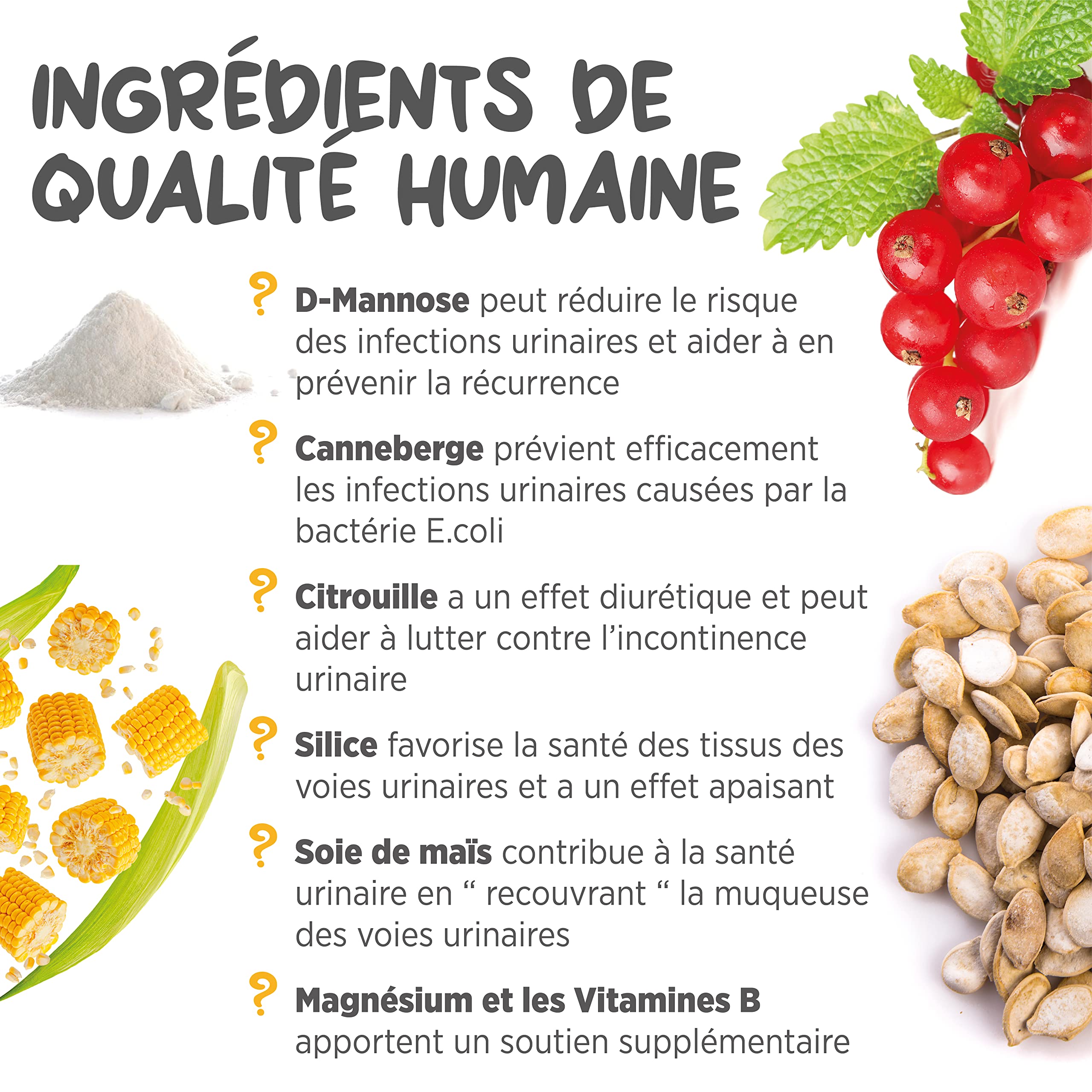maxxipaws – maxxiUtract Canneberge Complément Alimentaire Urinaire pour la Vessie des Chiens – Supplément Canin pour Le Contrôle de la Vessie et la Santé des Voies Urinaires (Poudre 150g)