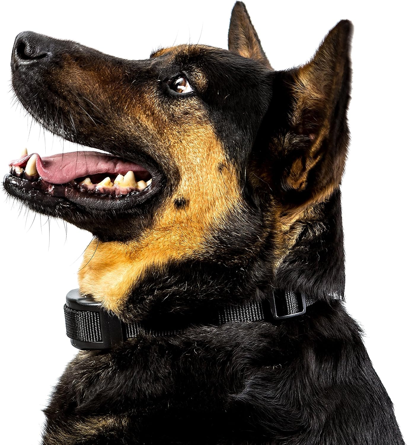 Bark Control Pro - Dog Bark Collar - The Quick and Effective Small and Large Breed Shock Collar – Adjustable Sensitivity – Seven Levels of Feedback – Guaranteed