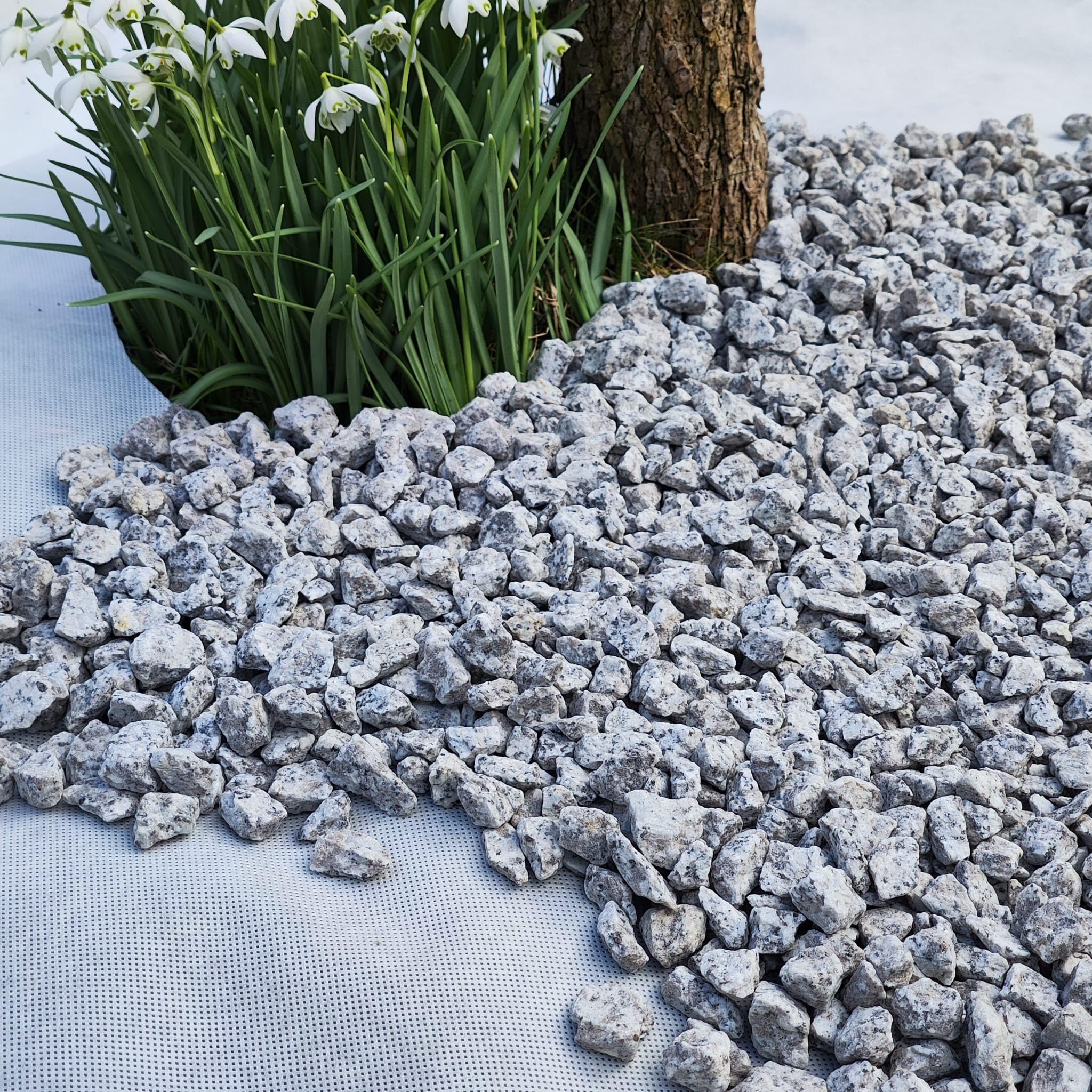 EraGreen Telo Anti-Erbacce In Tessuto Non Tessuto 150 G/m² – 0,5 M X 20 M – Resistente Ai Raggi UV E Impermeabile – Ideale Per Giardino E Aiuole