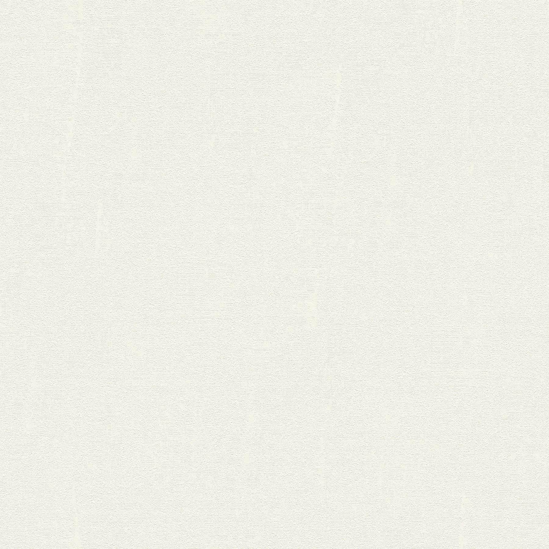 Carta da parati tnt (tessuto non tessuto) tinta unita monocolore Argento Bianco 370505 37050-5 Versace Versace 4 | Argento/Bianco | Rotolo (10,05 x 0,70 m) = 7,04 m²