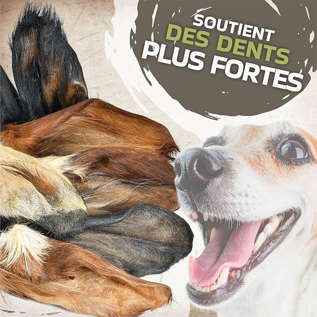 Foto 4 de 6 de Orejas de vacuno con pelo para perros, 10 unidades, bocadillos masticables naturales, bajos en grasa