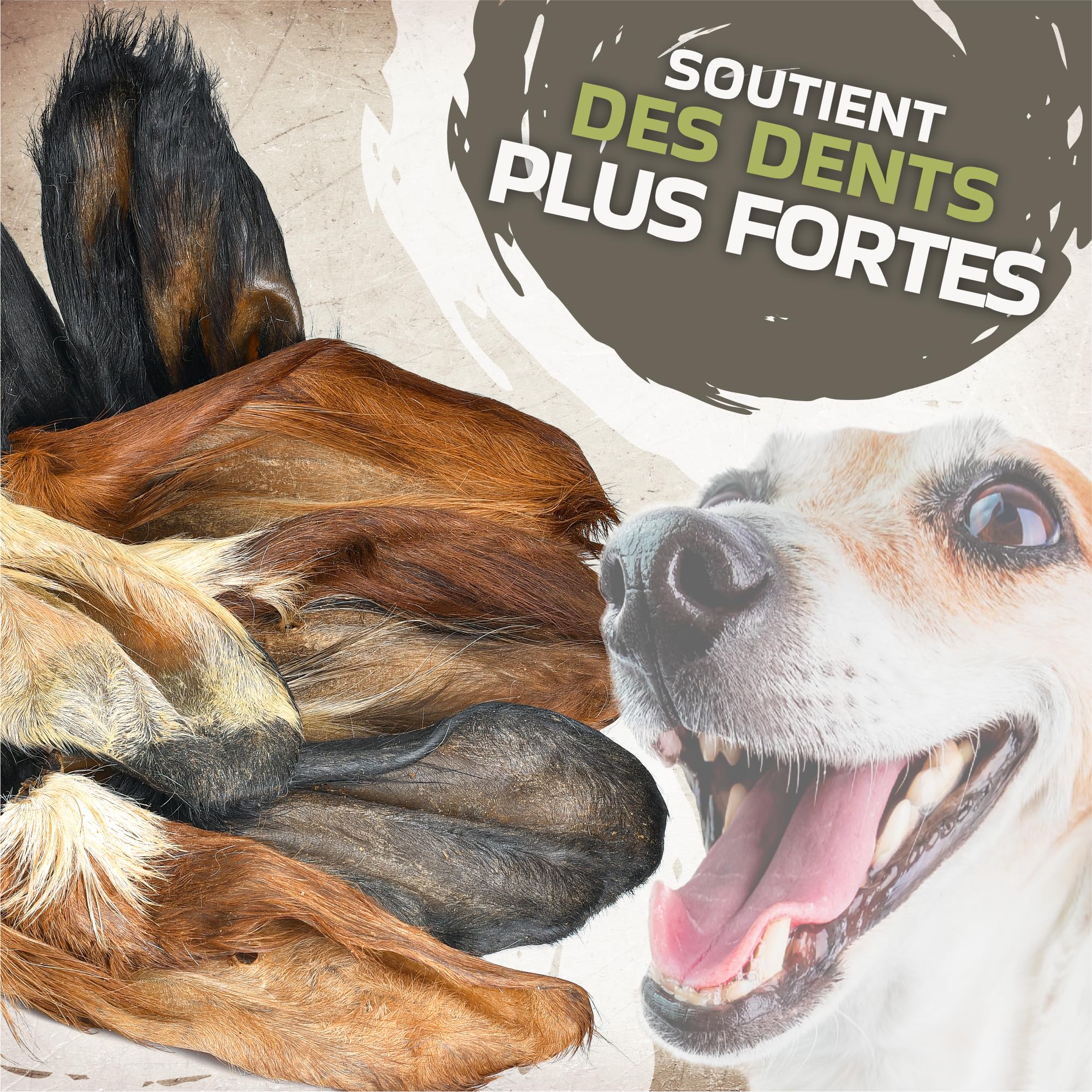 Lot de 10 oreilles de bœuf avec fourrure pour chien - Friandise naturelle à mâcher - Faible en gras et sans additifs - Article à mâcher de qualité supérieure pour les moments intermédiaires