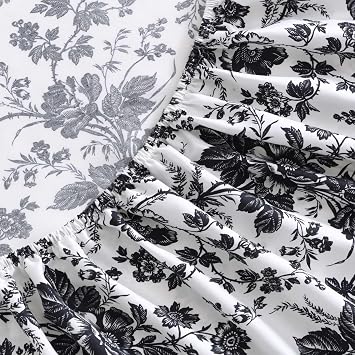 Betsey Johnson - Full Bed Sheets, Soft & Lightweight Bedding, Fade & Wrinkle Resistant (Betseys Toile Black, Full)