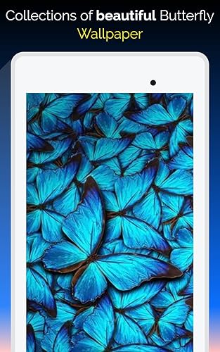 Blue Butterfly Wallpaper