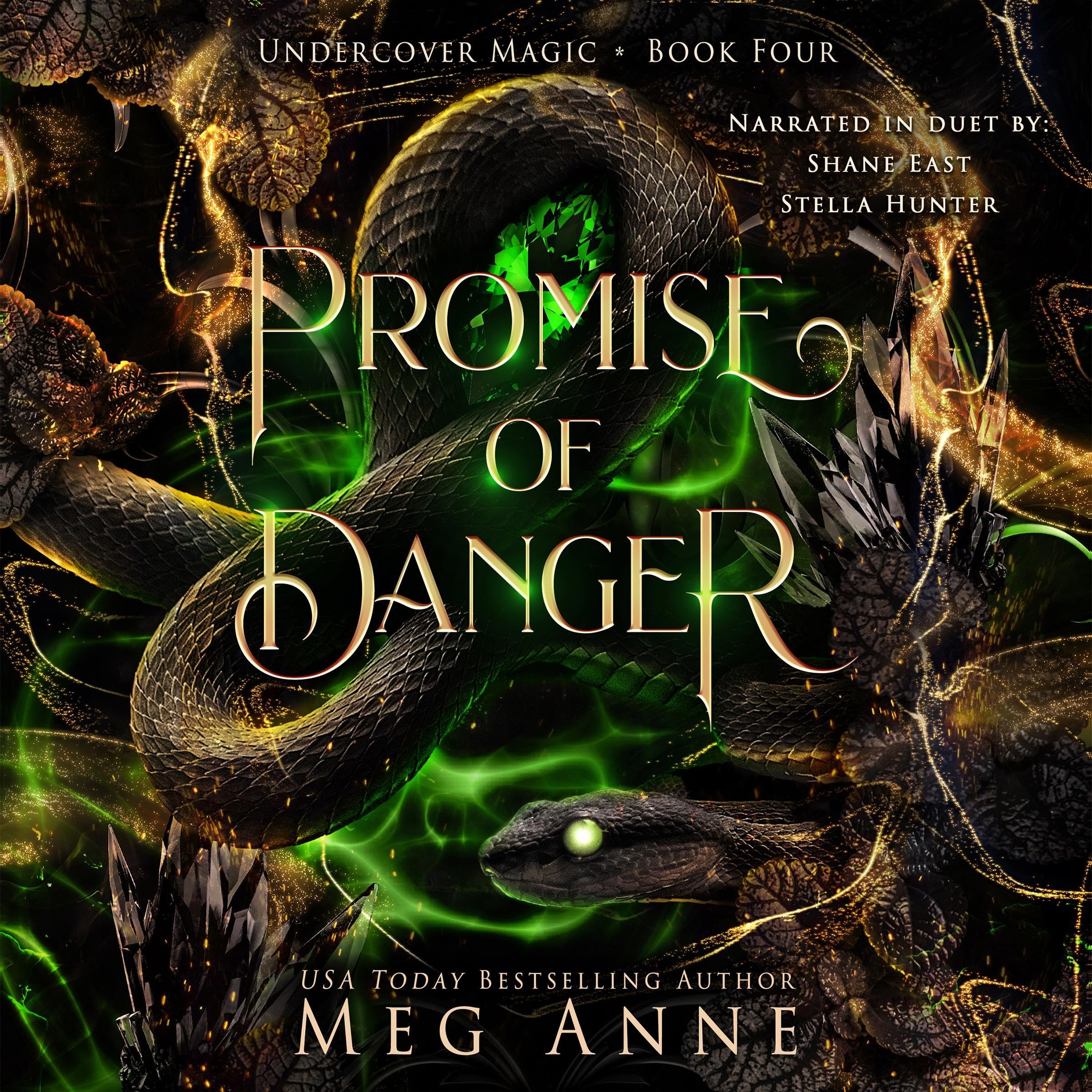 Cover art for Promise of Danger