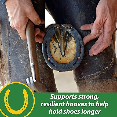 Vista 4 de Farnam HB 15 suplemento de pezuña, apoya el crecimiento saludable de pezuñas 7 libras, suministro para 112 días