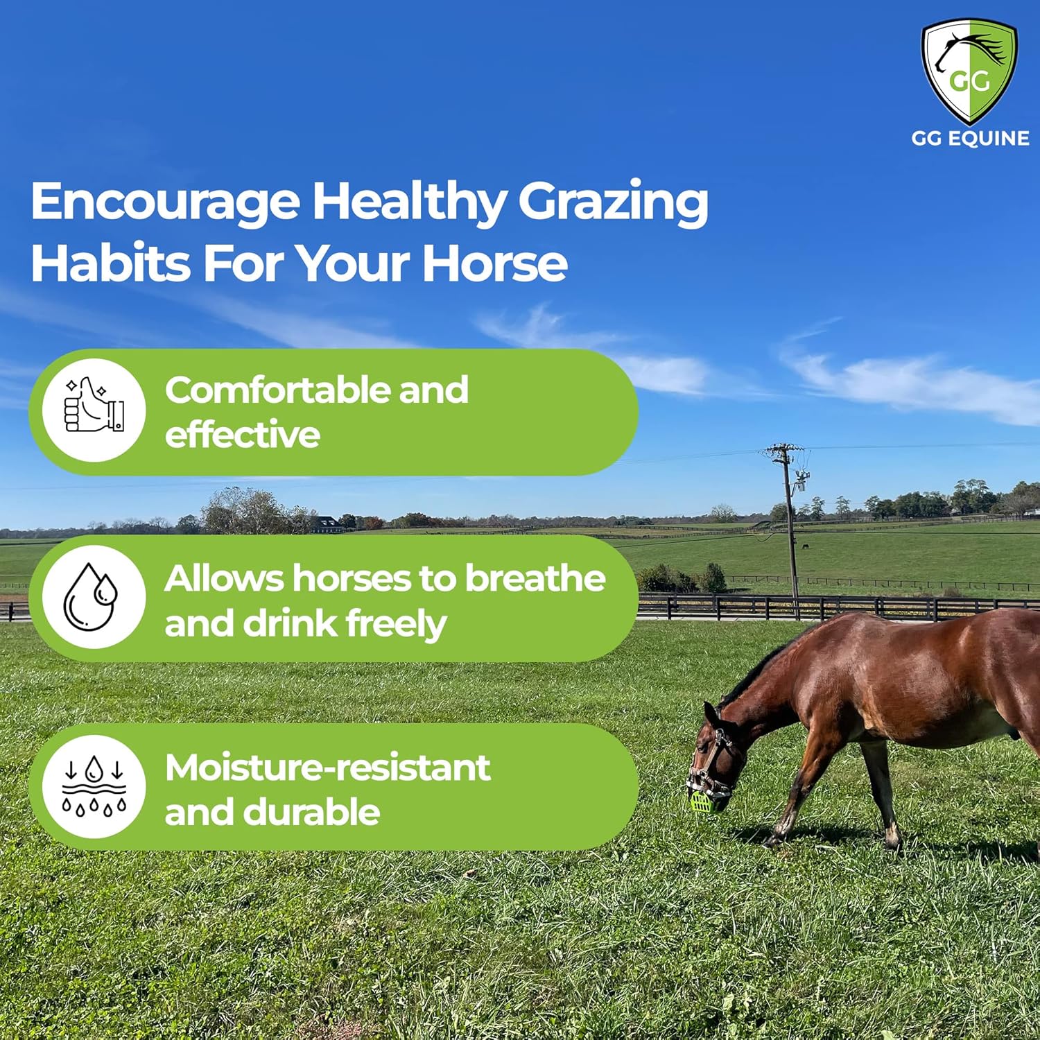 GG Equine GreenGuard Grazing Muzzle for Horse - Lighter, Durable Horse Accessories - Comfortable Horses Muzzle with Proper Airflow & Natural Grazing Behavior Design