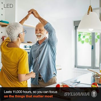 Sylvania LED Light Bulb, 40W Equivalent A19, Efficient 6W, Medium Base, Frosted Finish, 450 Lumens, Daylight - 1 Pack (74080)