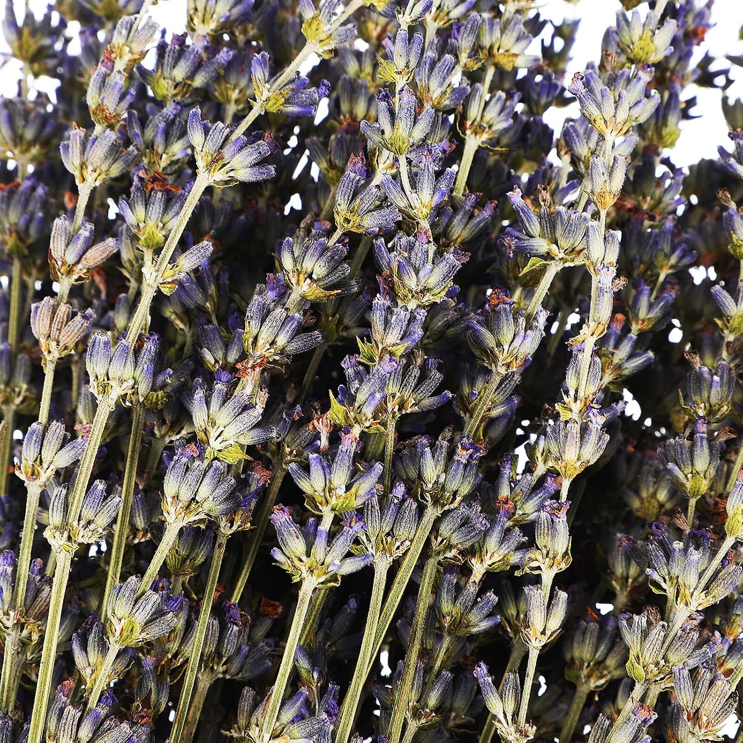 Unomor Dried Lavender Flower Bouquet Lavender Flowers Decor for Home Wedding Party Arrangement for Indoor Decoration