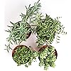 Product Photo 2