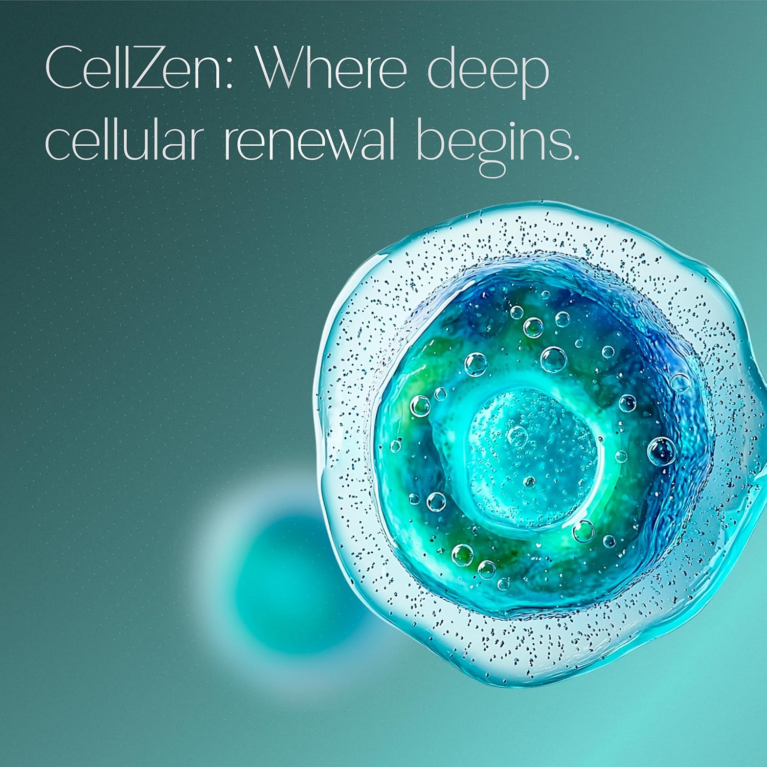 CellZen - Powerful Cellular Health & Detox Supplement to Optimize Glutathione Level | Mitochondrial Supplements for Energy, Anti-Aging, & Inflammation Support - Made in USA, 150 Caps - Image 7