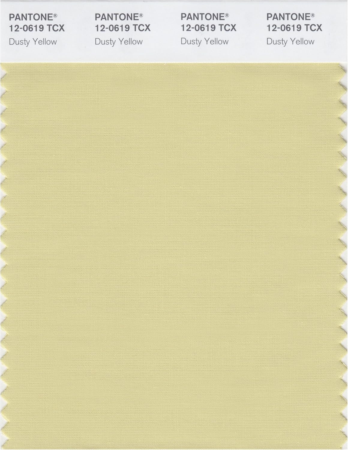 PANTONE Smart 12-0736X Color Swatch Card, Lemon Drop