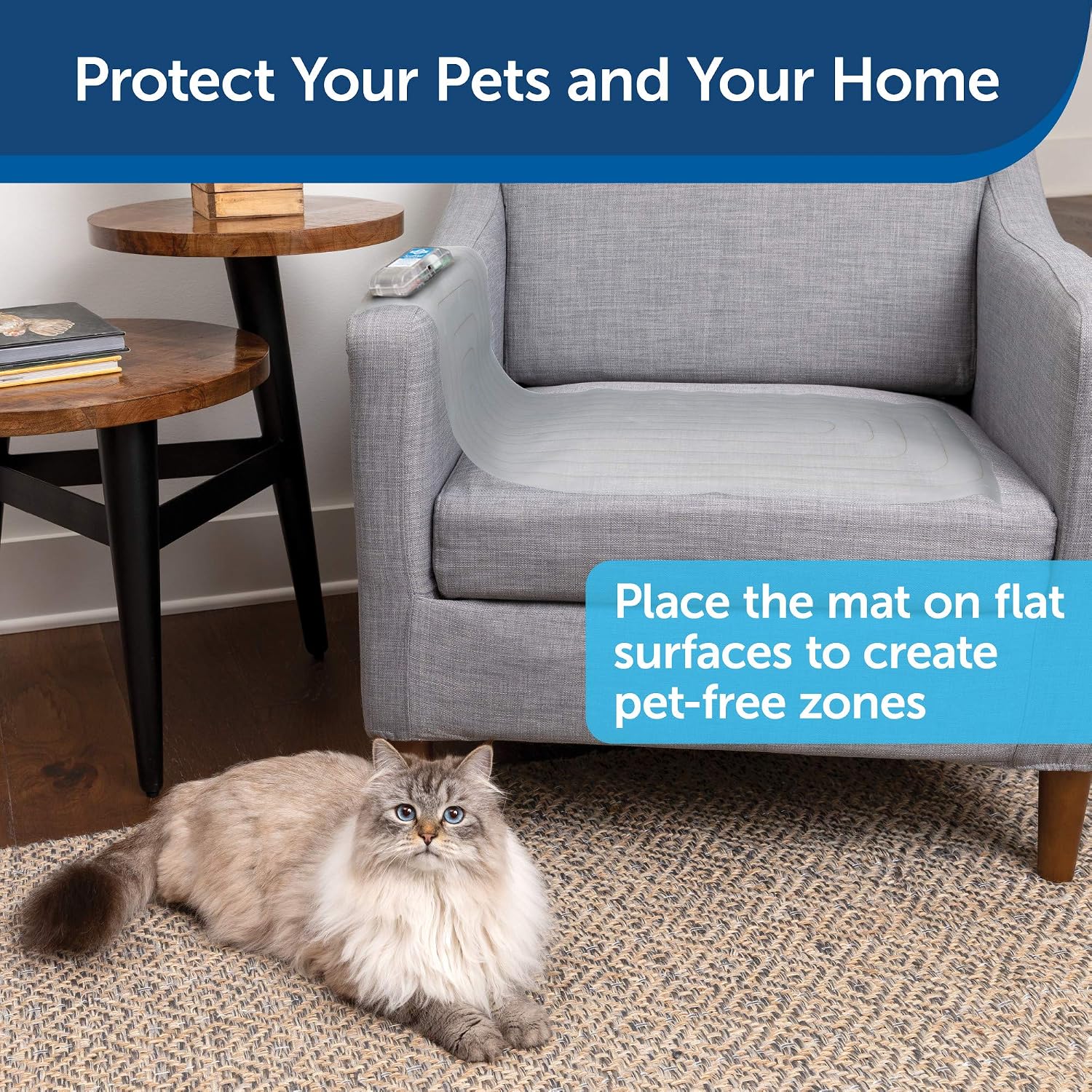 PetSafe ScatMat Pet Training Mat, Medium 30 x 16 inches