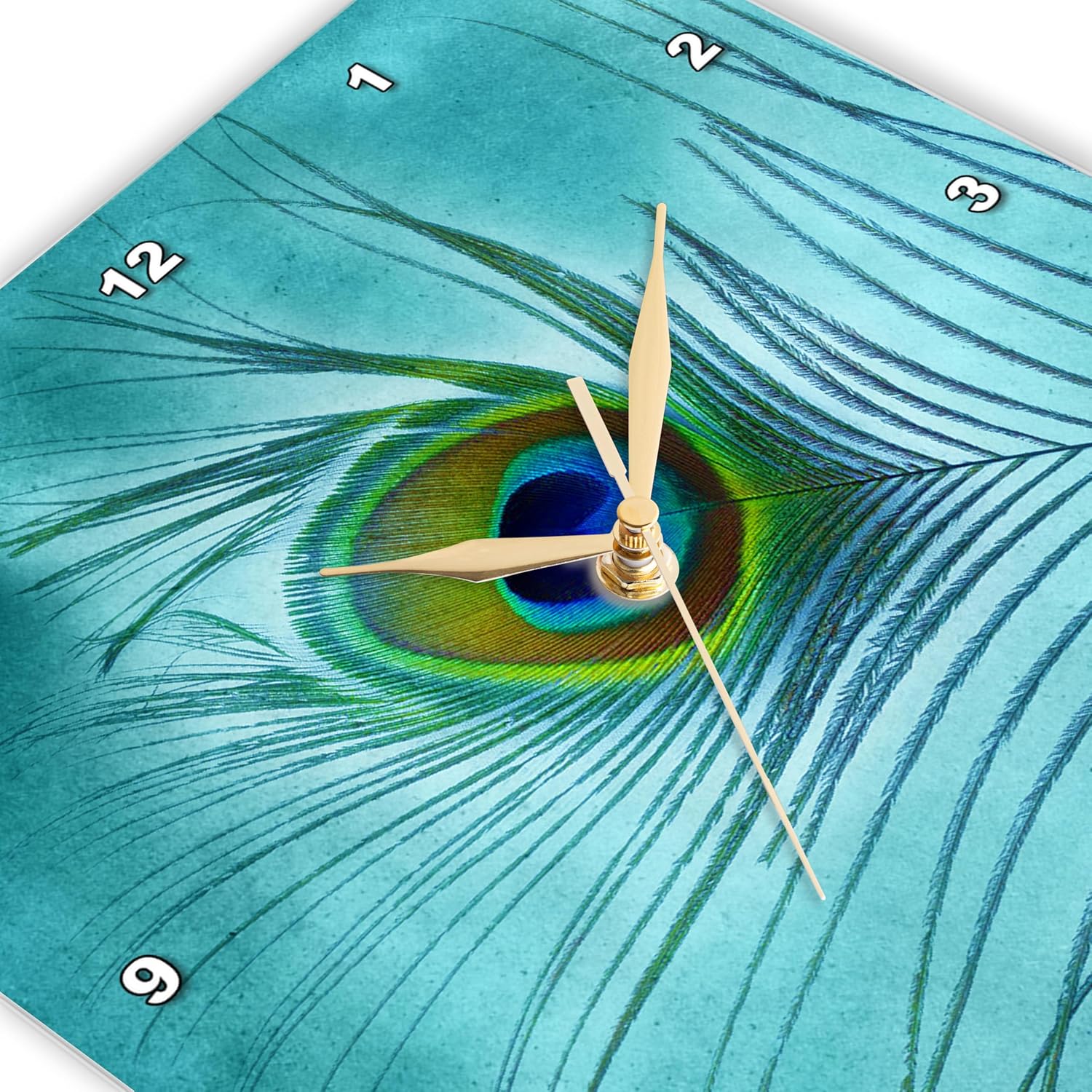 3dRose Wall Clock Silent - 13 inch - Peacock Feather on Turquoise Background - Birds