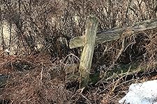 Review Image by Artr