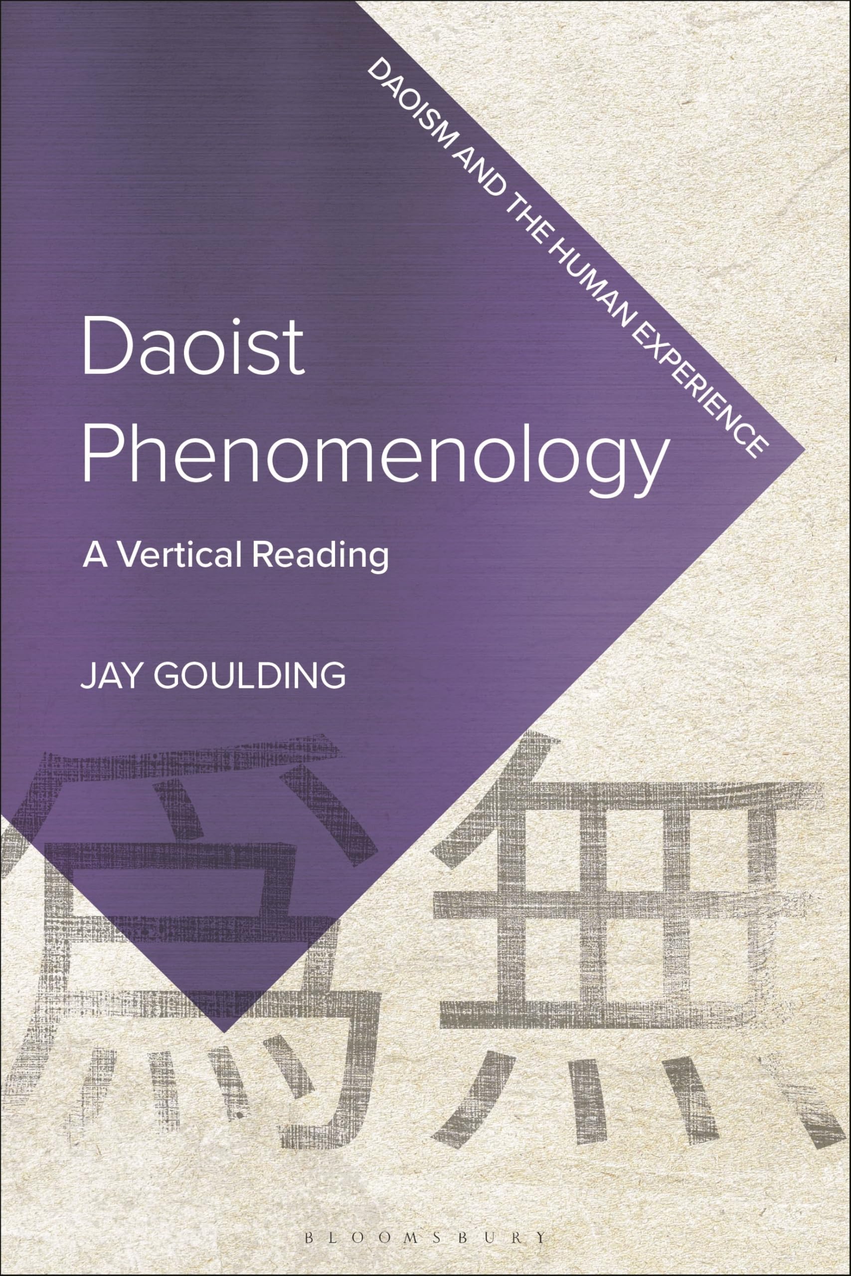 Daoist Phenomenology by Jay Goulding - 9781350470477