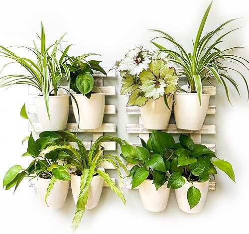 ShopLaLa Macetas de pared de madera, paquete de 2 macetas colgantes de pared para plantas de interior, escalera de madera montada en la pared,