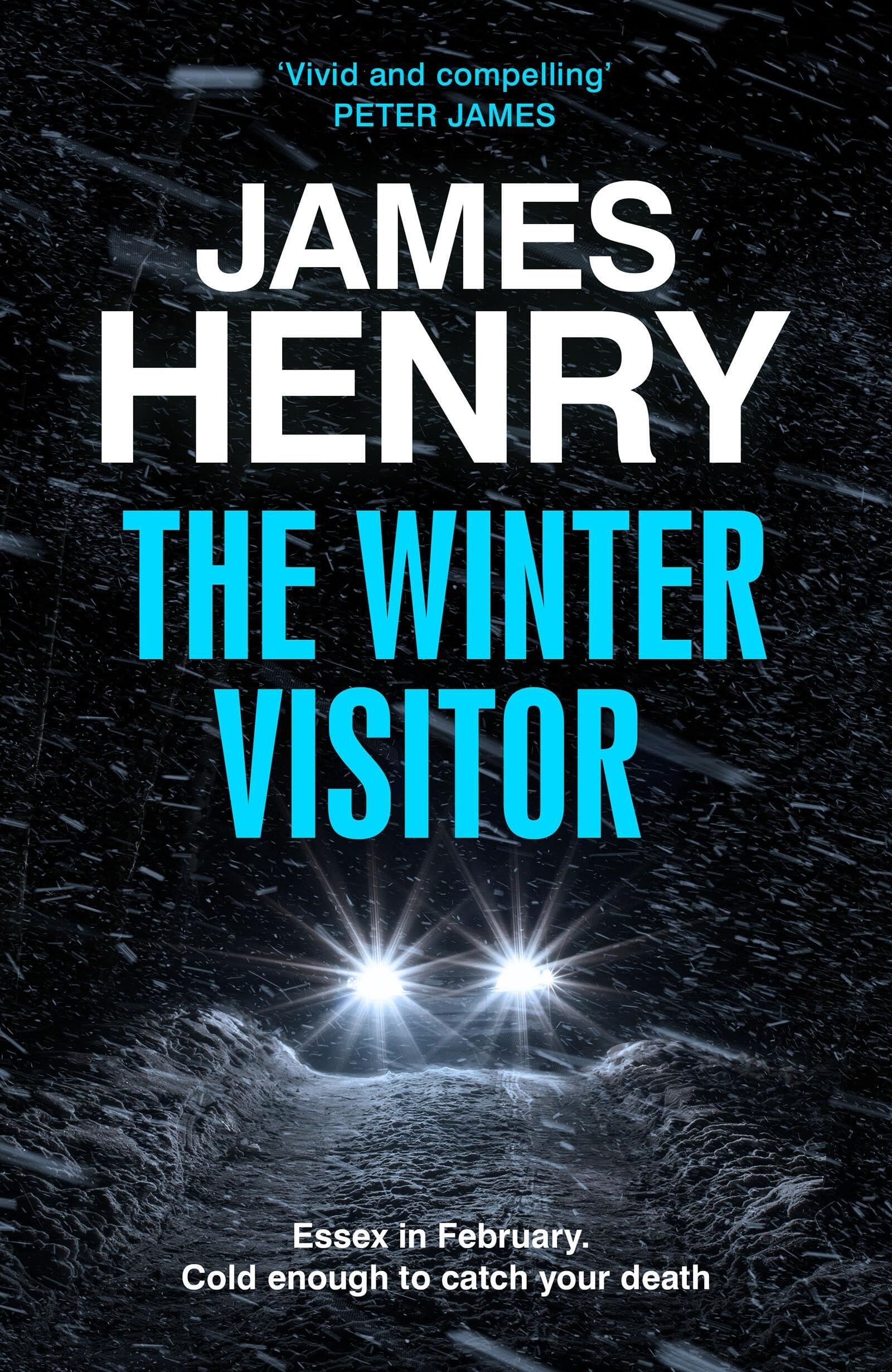 The Winter Visitor: the explosive new thriller set in the badlands of Essex (The Essex Investigations)