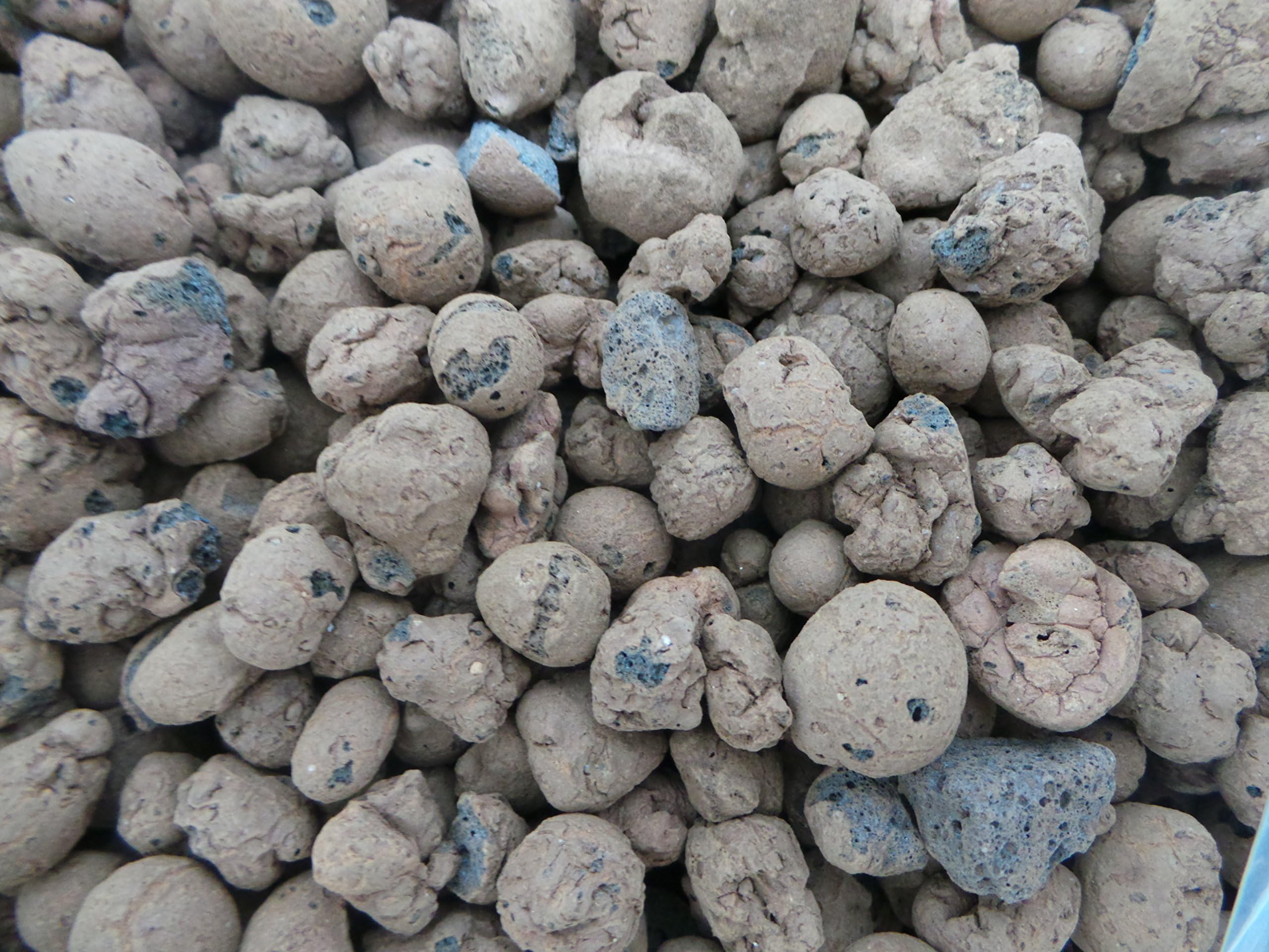 Sinclair 5L Bag Of Hydoleca Clay Pebbles Add To Compost To Reduce Root Rot