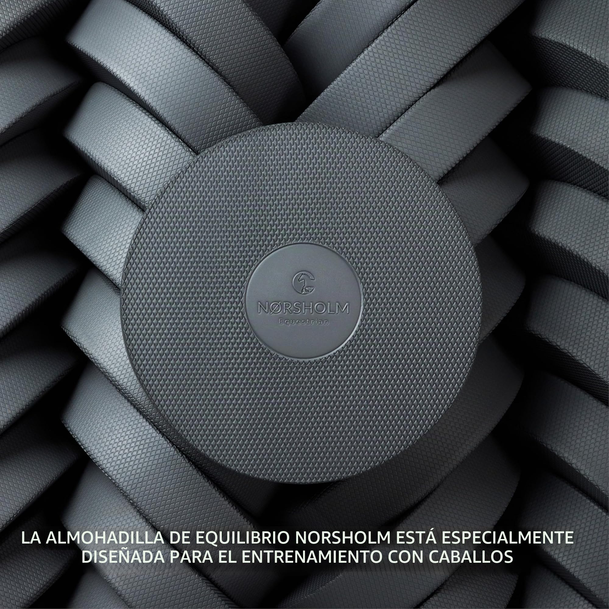 Juego de 2 almohadillas de equilibrio para caballos, accesorios para el trabajo en el suelo con caballos, 2 almohadillas de equilibrio para entrenamiento variable y empleo para