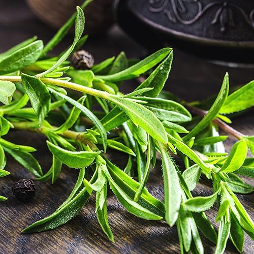 Miniatura 7 de Seed Needs Semillas saladas de verano para plantar hierbas, semillas de hierbas anuales sin OMG y sin tratar para plantar un jardín de cocina