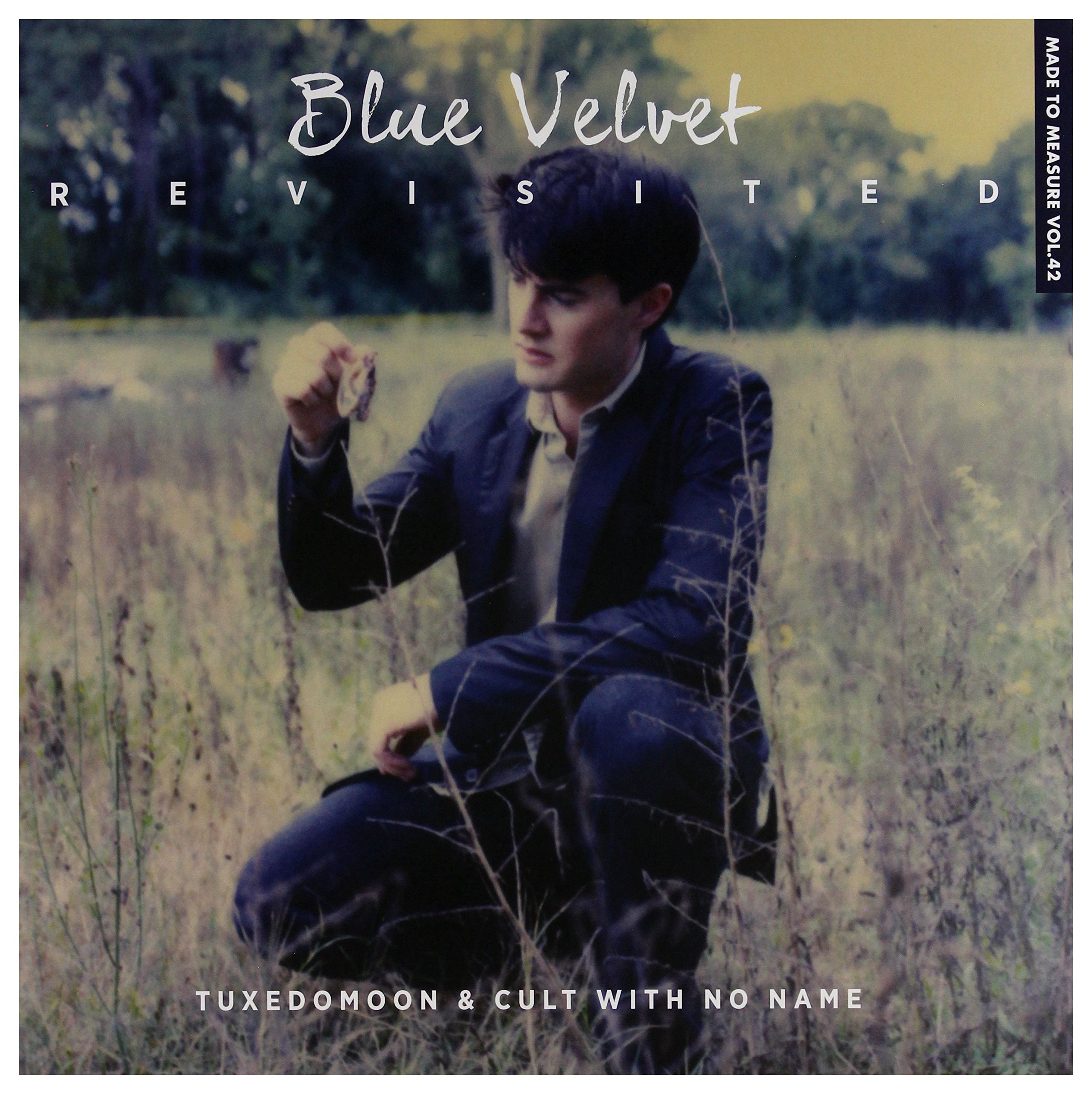 Blue Velvet Revisited