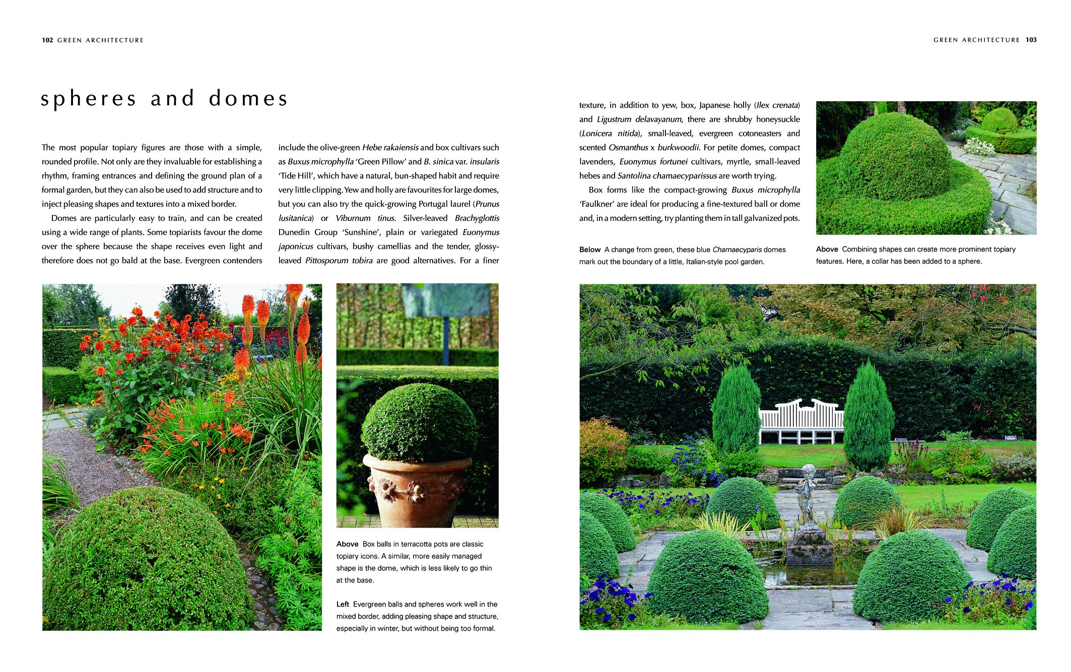 A Gardener's Guide to Topiary: The Art Of Clipping, Training And Shaping Plants