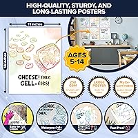 Vista 5 de Decorably 12 pósteres de química de aparatos científicos para aula, 11 x 14 pulgadas, decoración escolar laminada mate, para pasillos, tablones