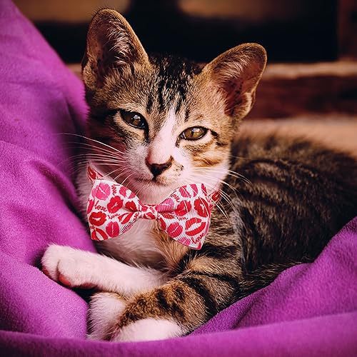 Miniatura 6 de Juego de collar de gato con pajarita de San Valentín con campana, corazón rojo festivo y collar de gato rosa para niños y niñas, gatitos