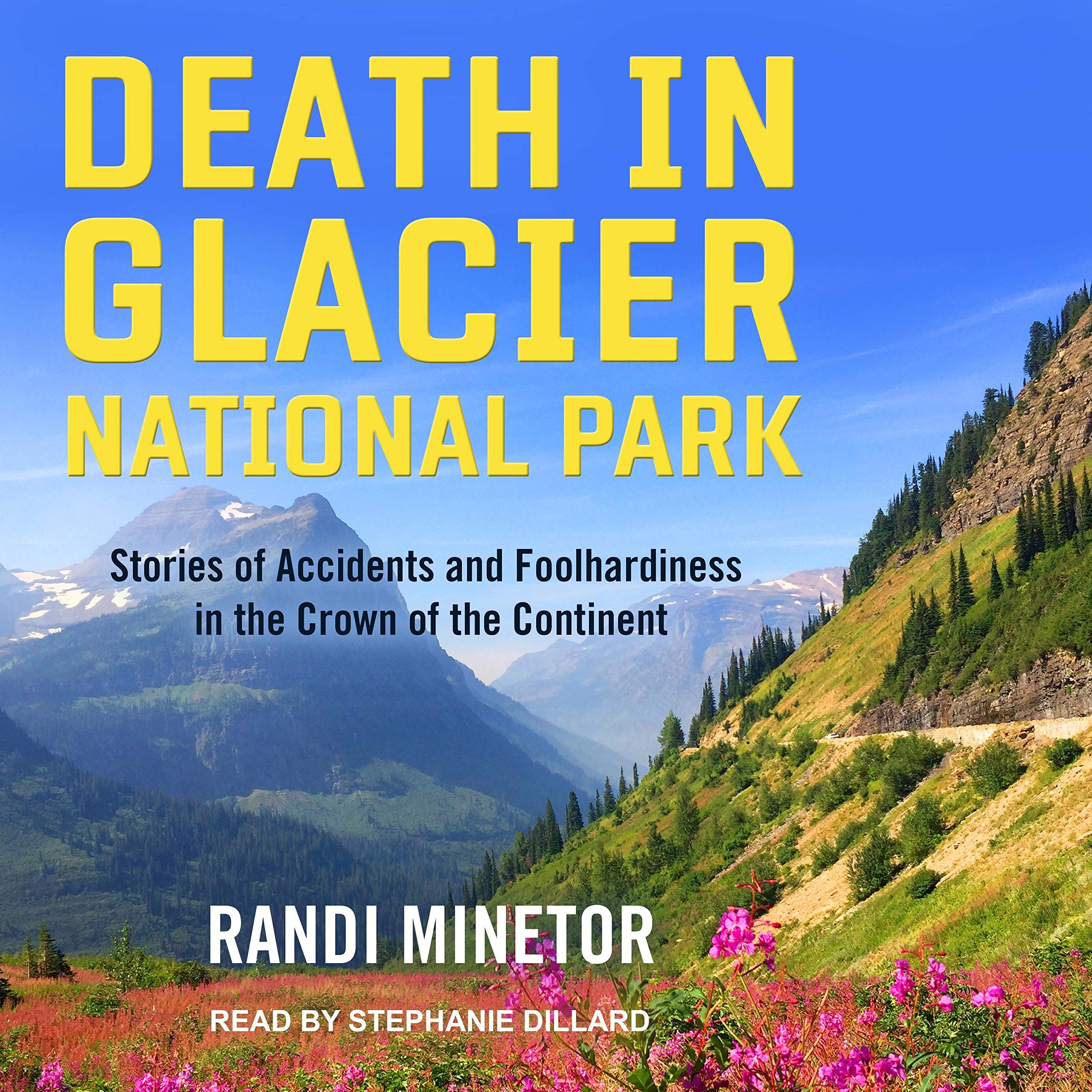 Cover art for Death in Glacier National Park