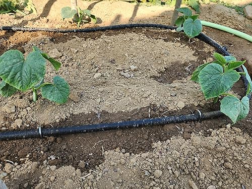 Miniatura 8 de Atlantic Manguera corta de 12 pulgada x 2 pies, conectores de latón macizo con revestimiento de grado alimenticio, mantiene tus plantas saludables