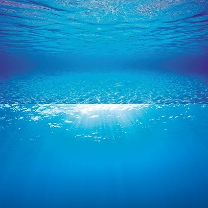 Juwel Aquarium Uk Limited Double Sided Tank Background Poster 2 Blue Ocean 60x30cm Amazon Co Uk Pet Supplies
