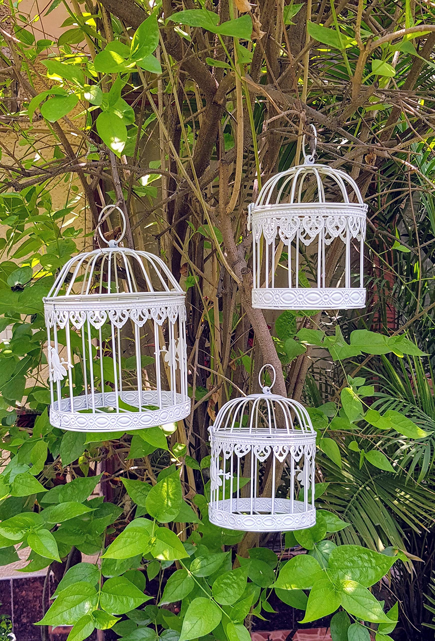 Wonderland Bird cage Sets in Metal- Round Set of 3 (B07HD1MQBZ) Amazon Price History, Amazon Price Tracker