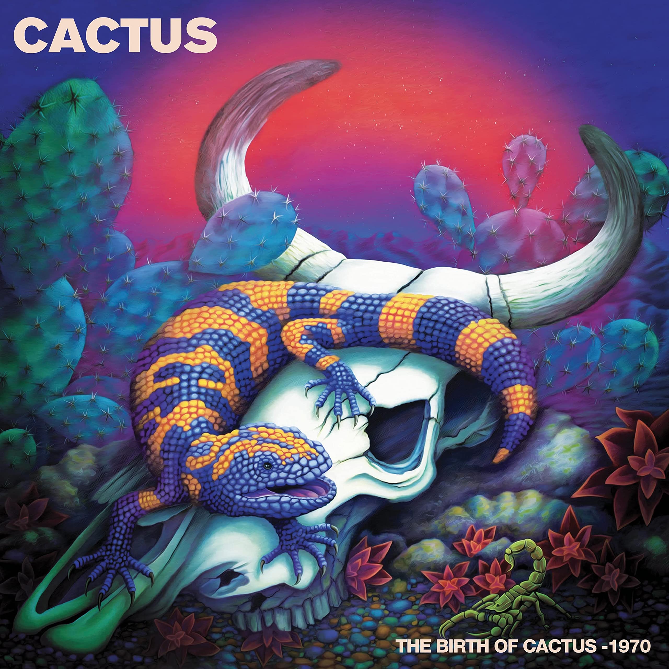 The Birth of Cactus - 1970 [Vinyl LP] [VINYL]